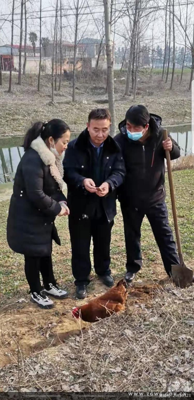 图片1.jpg 图片1.jpg