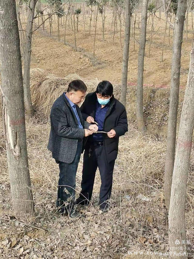 图片6.jpg