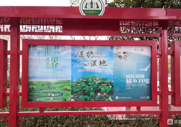 图片11.png