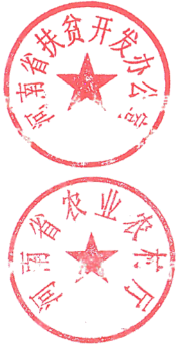 IM 6